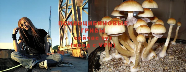 прущая мука Абинск