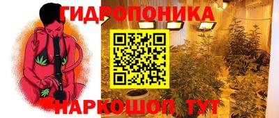a pvp Сланцы