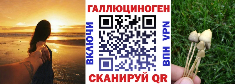 Псилоцибиновые грибы GOLDEN TEACHER  где продают наркотики  Переславль-Залесский 