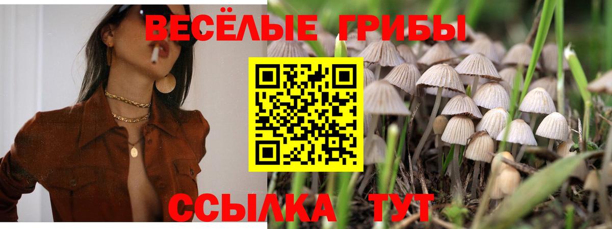 продажа наркотиков  Вход с VPN  Переславль-Залесский  Галлюциногенные грибы Psilocybine cubensis 