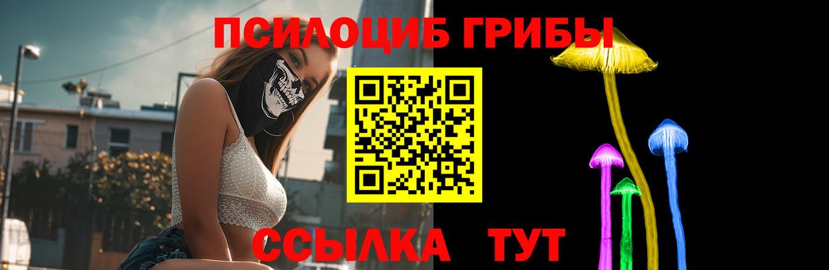 Галлюциногенные грибы Psilocybine cubensis Переславль-Залесский